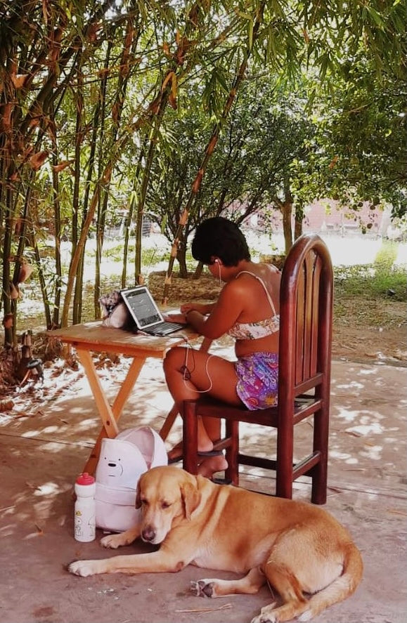 Escuela Virtual - Primaria y Secundaria Online