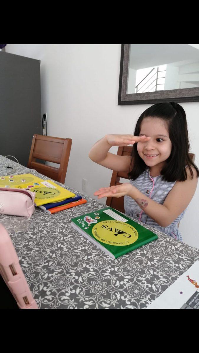 Escuela Virtual - Primaria y Secundaria Online